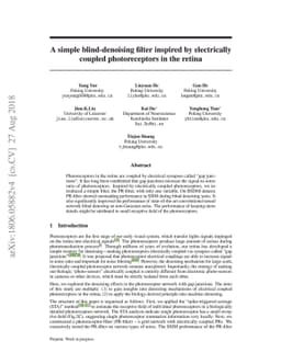 A simple blind-denoising filter inspired by electrically coupled
  photoreceptors in the retina