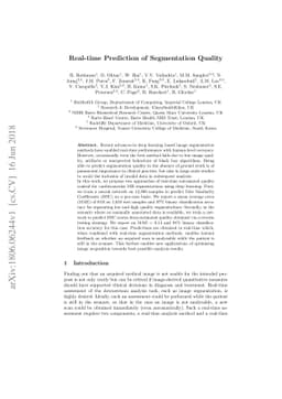 Real-time Prediction of Segmentation Quality
