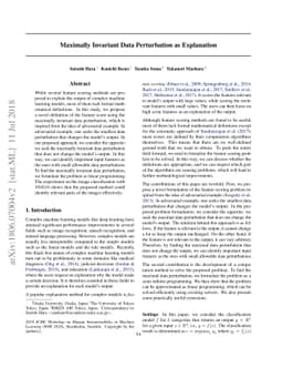 Maximally Invariant Data Perturbation as Explanation