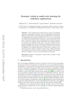 Dynamic voting in multi-view learning for radiomics applications