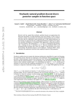 Stochastic natural gradient descent draws posterior samples in function
  space