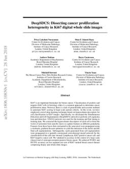 DeepSDCS: Dissecting cancer proliferation heterogeneity in Ki67 digital
  whole slide images