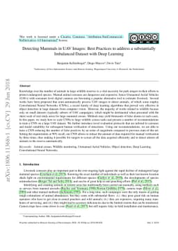 Detecting Mammals in UAV Images: Best Practices to address a
  substantially Imbalanced Dataset with Deep Learning