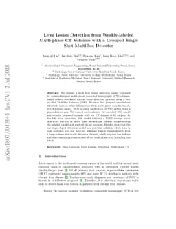 Liver Lesion Detection from Weakly-labeled Multi-phase CT Volumes with a
  Grouped Single Shot MultiBox Detector