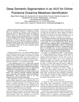 Deep Semantic Segmentation in an AUV for Online Posidonia Oceanica
  Meadows identification