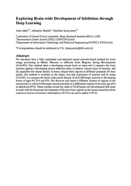 Exploring Brain-wide Development of Inhibition through Deep Learning
