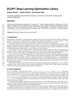 DLOPT: Deep Learning Optimization Library