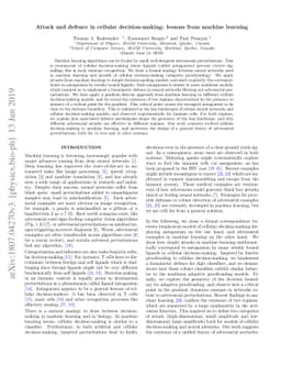 Attack and defence in cellular decision-making: lessons from machine
  learning