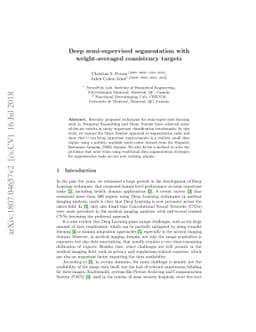 Deep semi-supervised segmentation with weight-averaged consistency
  targets