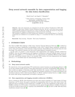 Deep neural network ensemble by data augmentation and bagging for skin
  lesion classification