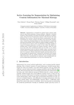 Active Learning for Segmentation by Optimizing Content Information for
  Maximal Entropy