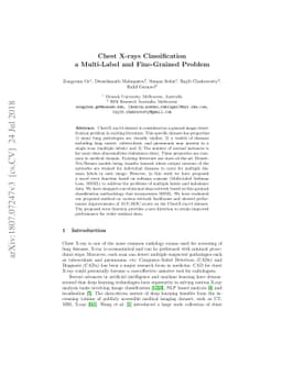 Chest X-rays Classification: A Multi-Label and Fine-Grained Problem