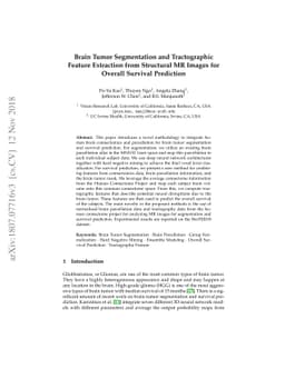 Brain Tumor Segmentation and Tractographic Feature Extraction from
  Structural MR Images for Overall Survival Prediction