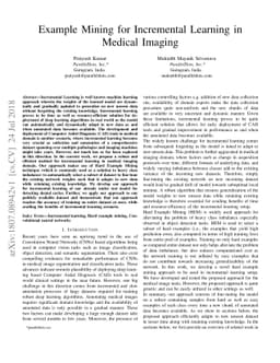 Example Mining for Incremental Learning in Medical Imaging