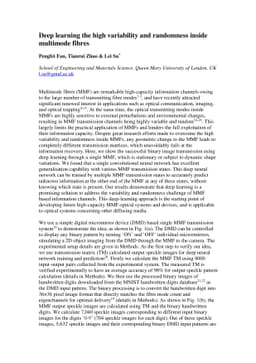 Deep learning the high variability and randomness inside multimode
  fibres