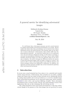 A general metric for identifying adversarial images