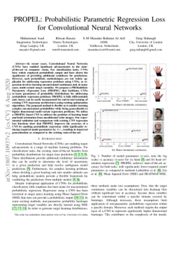 PROPEL: Probabilistic Parametric Regression Loss for Convolutional
  Neural Networks
