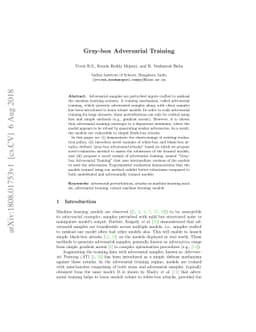Gray-box Adversarial Training