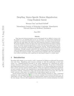 DeepMag: Source Specific Motion Magnification Using Gradient Ascent