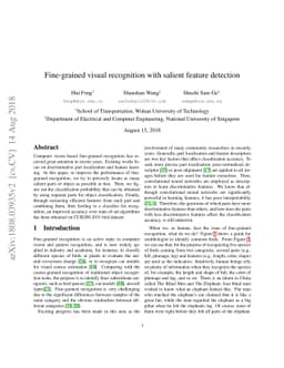 Fine-grained visual recognition with salient feature detection