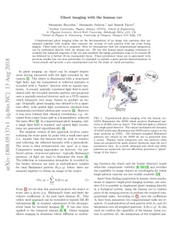 Ghost imaging with the human eye
