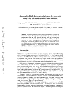 Automatic skin lesion segmentation on dermoscopic images by the means of
  superpixel merging