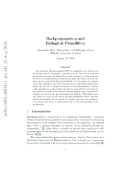 Backpropagation and Biological Plausibility
