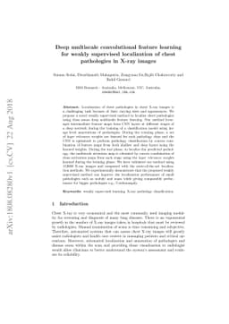 Deep multiscale convolutional feature learning for weakly supervised
  localization of chest pathologies in X-ray images