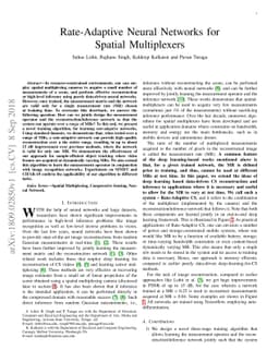 Rate-Adaptive Neural Networks for Spatial Multiplexers