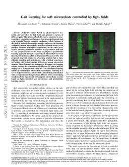 Gait learning for soft microrobots controlled by light fields