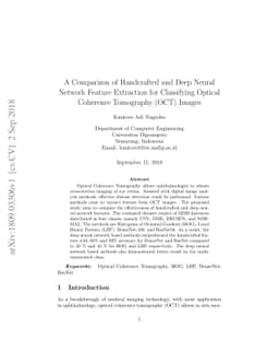 A Comparison of Handcrafted and Deep Neural Network Feature Extraction
  for Classifying Optical Coherence Tomography (OCT) Images