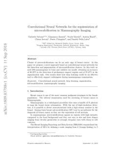 Convolutional Neural Networks for the segmentation of microcalcification
  in Mammography Imaging