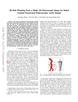 3D Path Planning from a Single 2D Fluoroscopic Image for Robot Assisted
  Fenestrated Endovascular Aortic Repair
