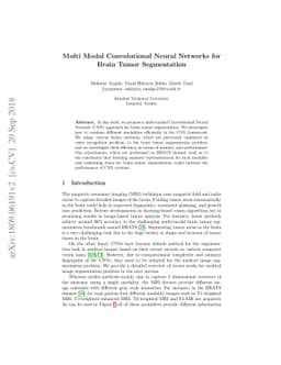 Multi Modal Convolutional Neural Networks for Brain Tumor Segmentation