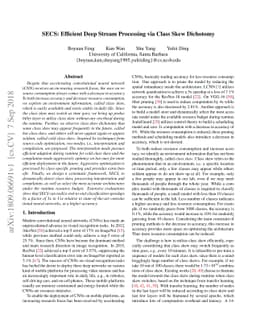 SECS: Efficient Deep Stream Processing via Class Skew Dichotomy