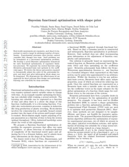 Bayesian functional optimisation with shape prior