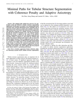 Minimal Paths for Tubular Structure Segmentation with Coherence Penalty
  and Adaptive Anisotropy