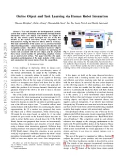 Online Object and Task Learning via Human Robot Interaction