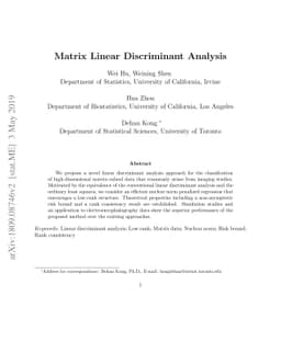 Matrix Linear Discriminant Analysis