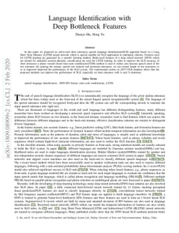 Language Identification with Deep Bottleneck Features