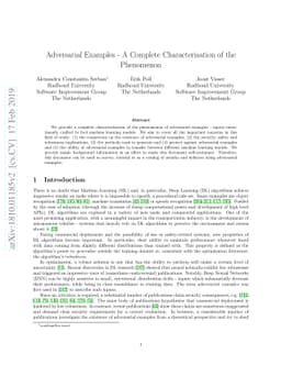 Adversarial Examples - A Complete Characterisation of the Phenomenon