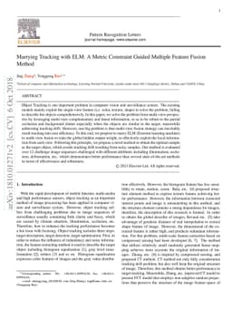 Marrying Tracking with ELM: A Metric Constraint Guided Multiple Feature
  Fusion Method
