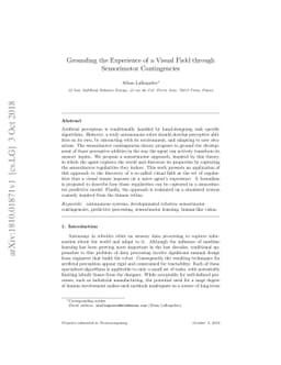 Grounding the Experience of a Visual Field through Sensorimotor
  Contingencies