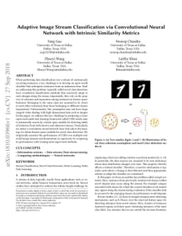 Adaptive Image Stream Classification via Convolutional Neural Network
  with Intrinsic Similarity Metrics