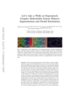 Let's take a Walk on Superpixels Graphs: Deformable Linear Objects
  Segmentation and Model Estimation
