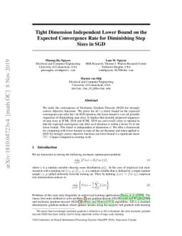 Tight Dimension Independent Lower Bound on the Expected Convergence Rate
  for Diminishing Step Sizes in SGD