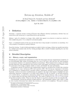 Bottom-up Attention, Models of