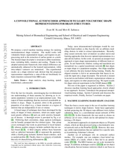 A Convolutional Autoencoder Approach to Learn Volumetric Shape
  Representations for Brain Structures