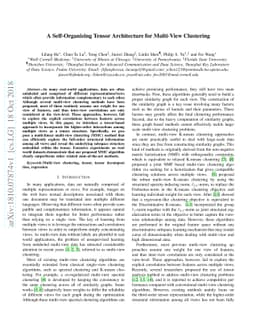 A Self-Organizing Tensor Architecture for Multi-View Clustering