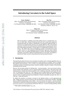 Introducing Curvature to the Label Space